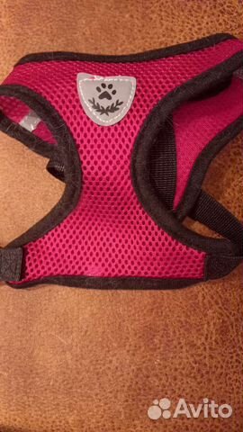 Шлейка для кошки и маленьких собак