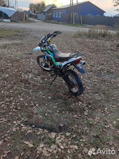 Racer panther 250