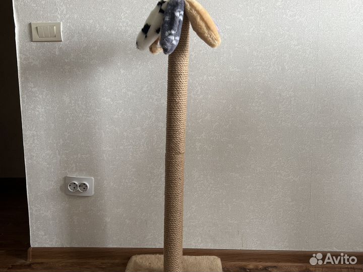 Когтеточка для кошек новая
