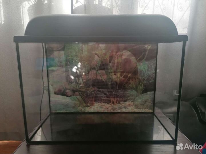 Аквариум