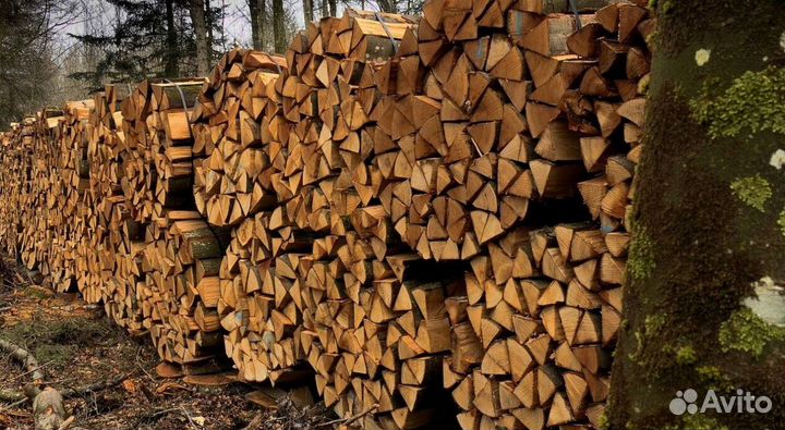 Дрова осина ольха