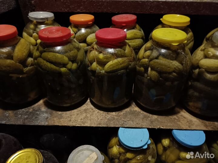 Огурцы соленые