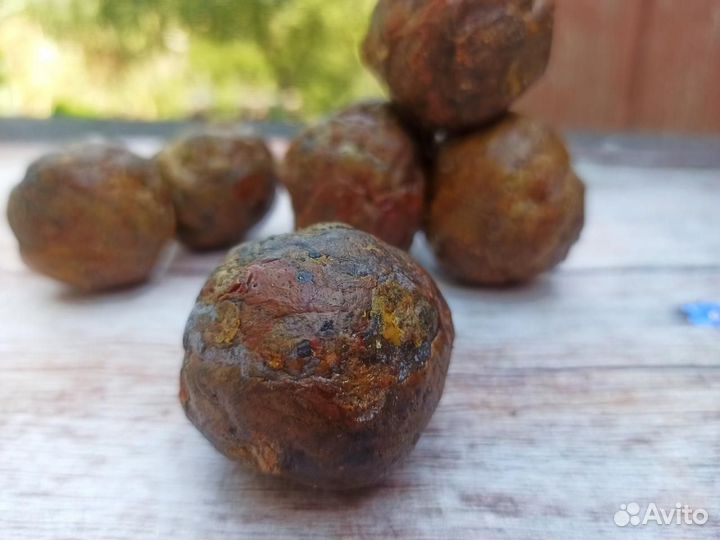 Прополис пчелиный со своей пасеки