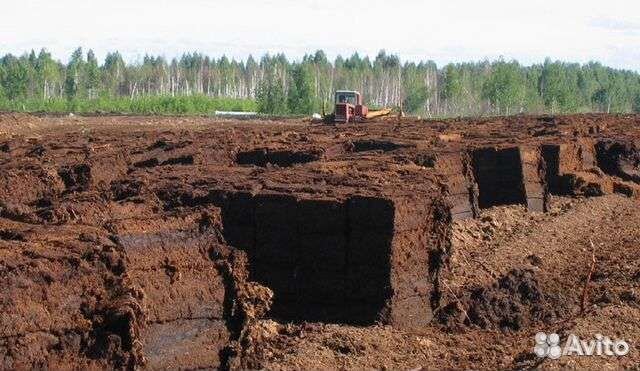 Торф низинный