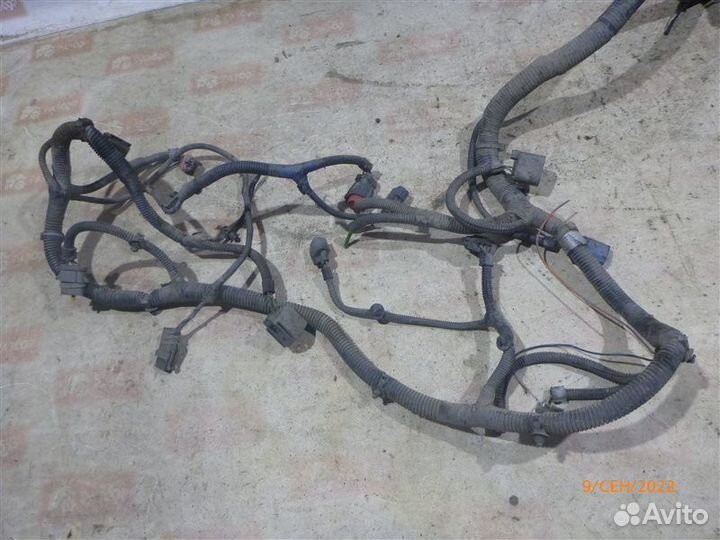 Проводка моторного отсека Ford Focus DF 2.0 2000