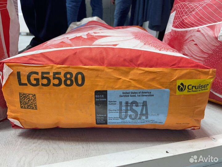 Семена подсолнечника лимагрейн, сингента и др