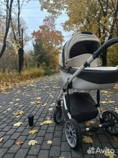 Коляска anex sport