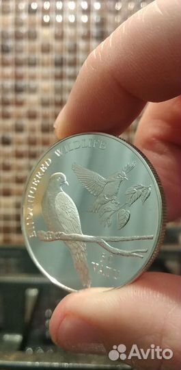 50 вату 1992 г. Вануату.Серебро