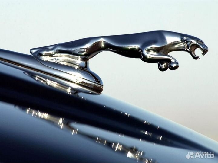 Эмблема Ягуар Jaguar на капот