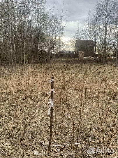 Приму грунт в любое время