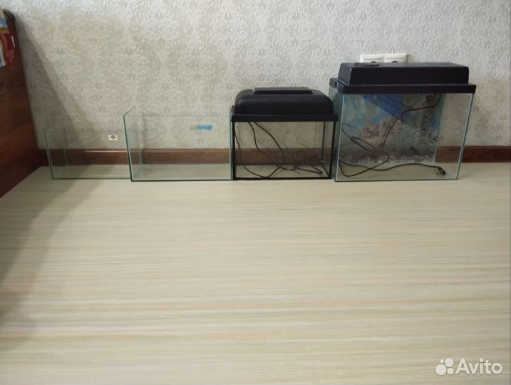 Аквариумы и оборудование