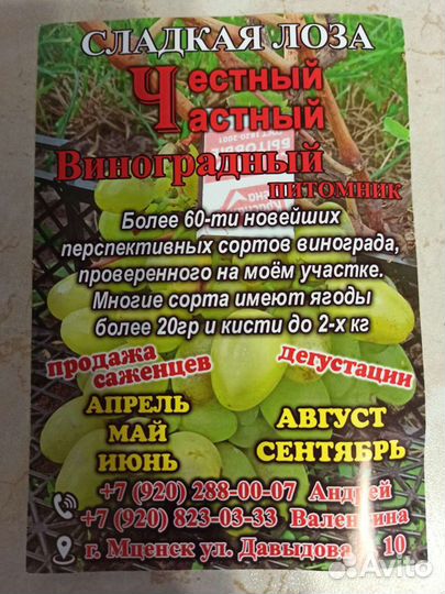 Саженцы винограда