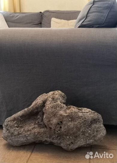 Арт-объект Морское Дерево большой дрифтвуд