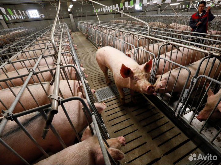 Рабочий на производство с обучением