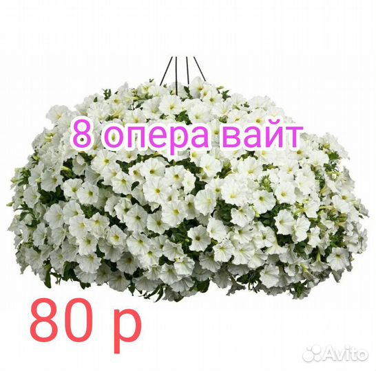 Петуния Тайдал Опера 70 р