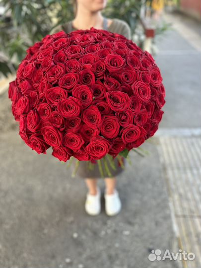 Букет 101 роза с доставкой 201 151