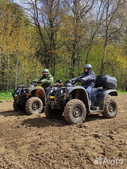Аренда квадроцикла