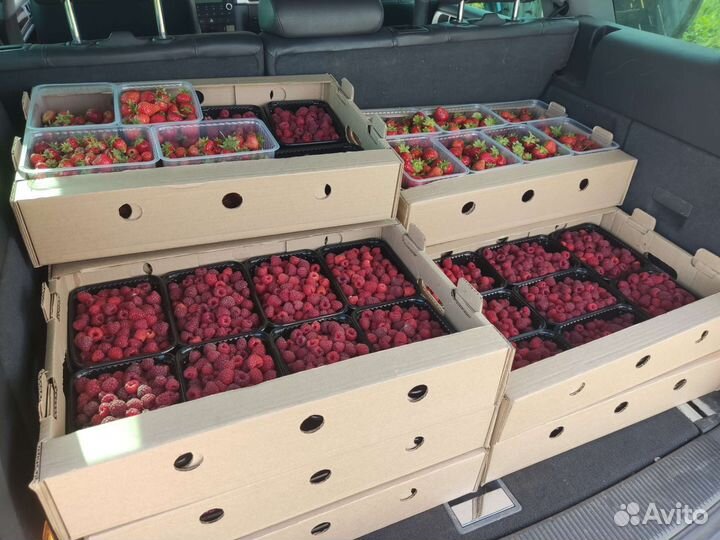 Малина свежая ягода фермерская