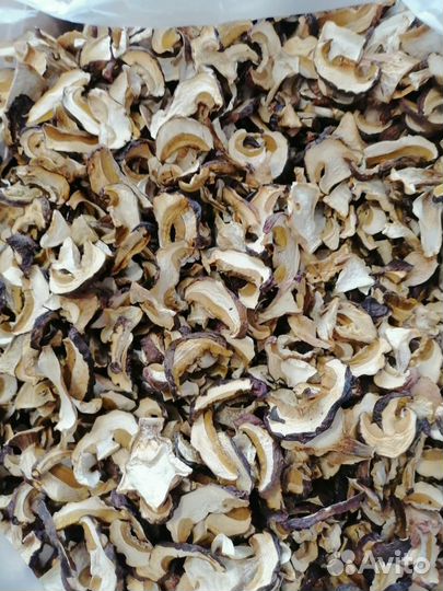 Грибы Белые