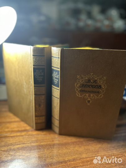 В.Я. Брюсов сочинения в двух томах