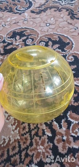 Прогулочный шар для грызунов