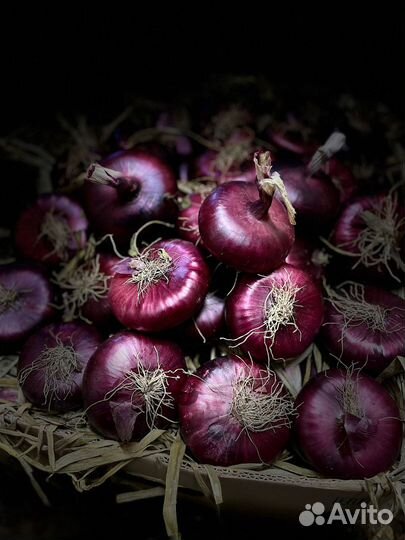 Ялтинский лук с Крыма