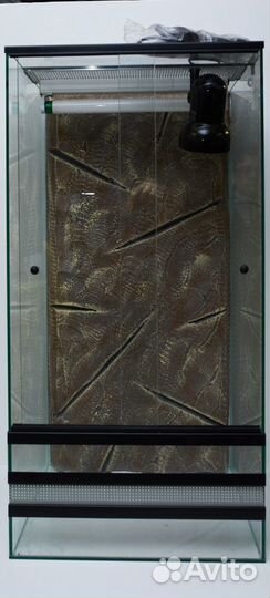 Террариум / полоз / агама / эублефар