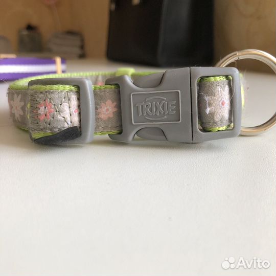 Амуниция для собак