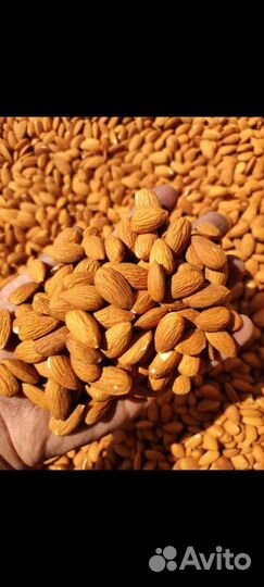 Мир сухофруктов