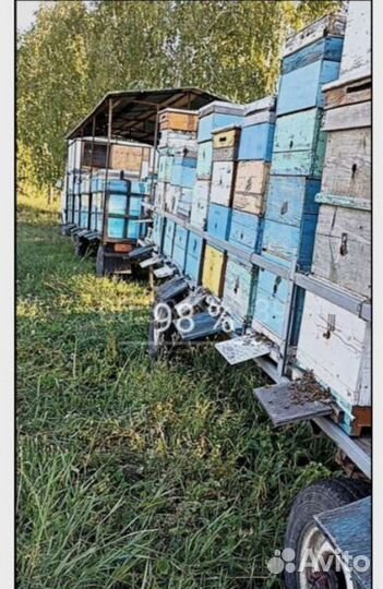 Для пчеловодства