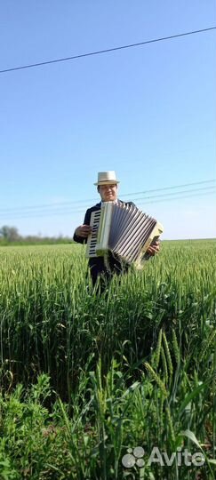Аккордеонист Баянист Гармонист на праздники