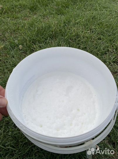 Козье молоко, сыр