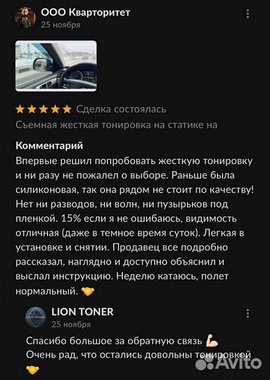 Съемная жесткая тонировка на статике