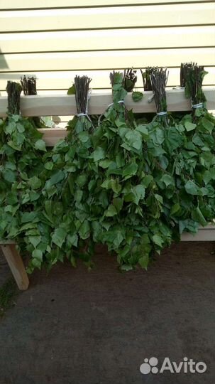 Веники для бани