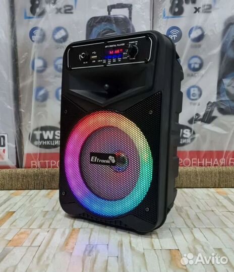 Портативная колонка Eltronic караоке FM радио