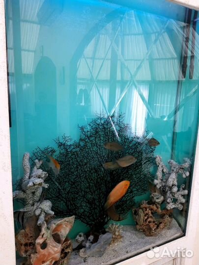 Обслуживание аквариумов