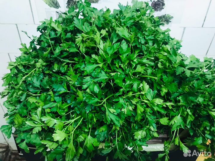 Доставка овощей (продуктов)