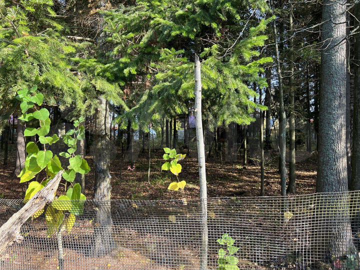 Дача 23 м² на участке 5,5 сот.