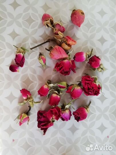 Бутончики и лепестки роз