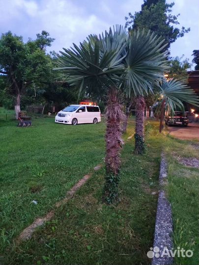 Трансфер минивэн