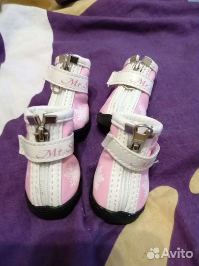 Ботинки для собаки