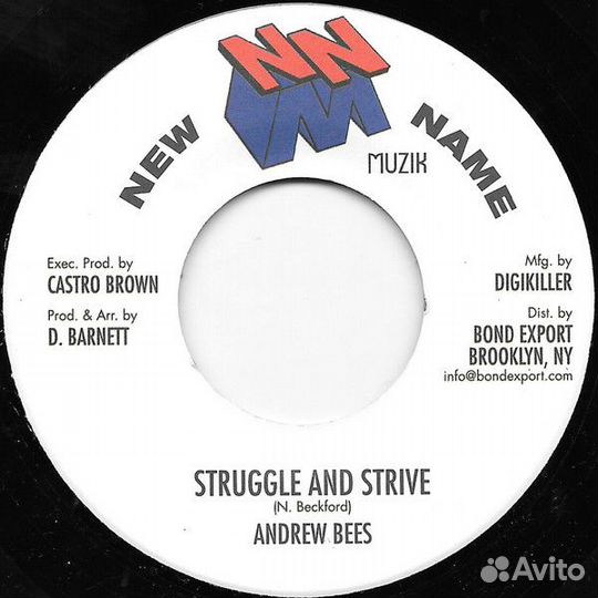 10. 7 винил Reggae Dub