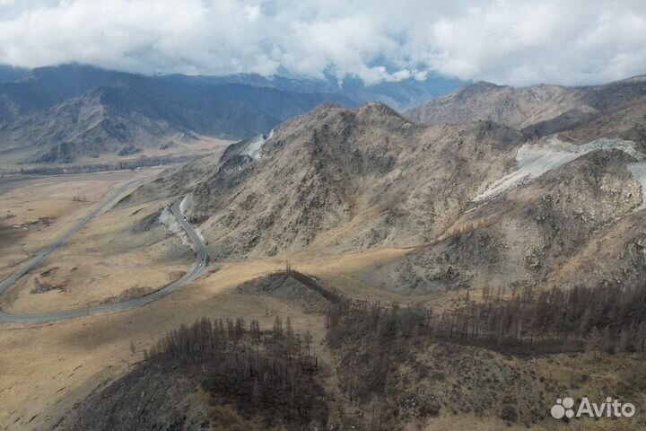 Туры по Алтаю