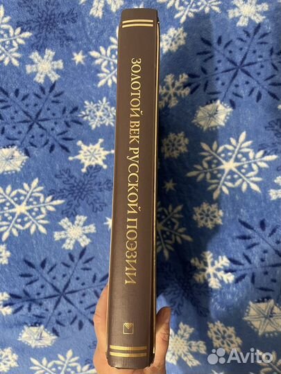 Книга Золотой век русской поэзии