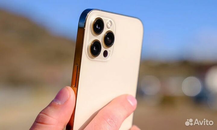 iPhone 12 Pro Max, 256 ГБ