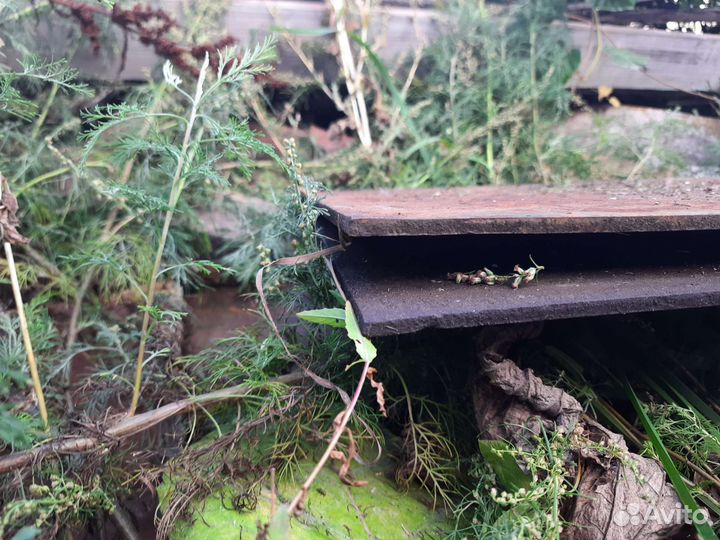 Металлопрокат бу