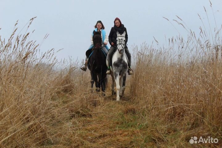 Походы на лошадях