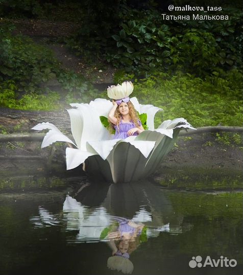 Лотос для Дюймовочки, большой цветок