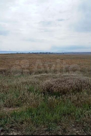 Участок 100 сот. (СНТ, ДНП)