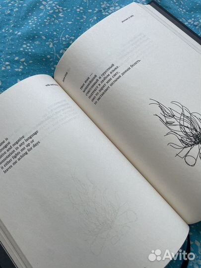 Milk and honey Рупи Каур